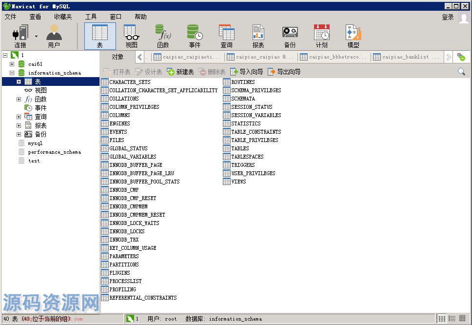 Navicat Mysql数据库管理软件、附带免授权工具