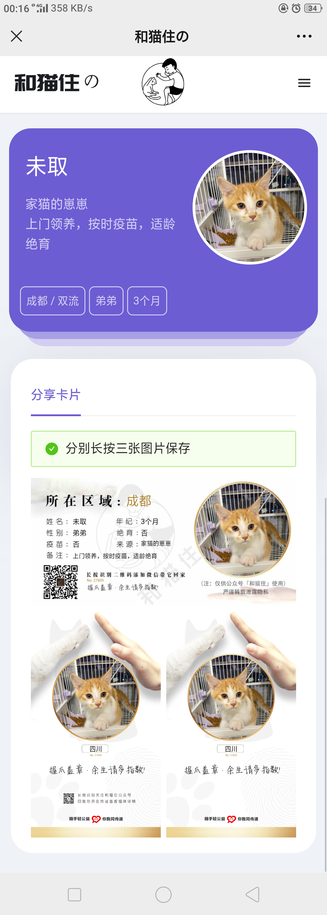 流浪猫流浪狗领养和发布H5源码