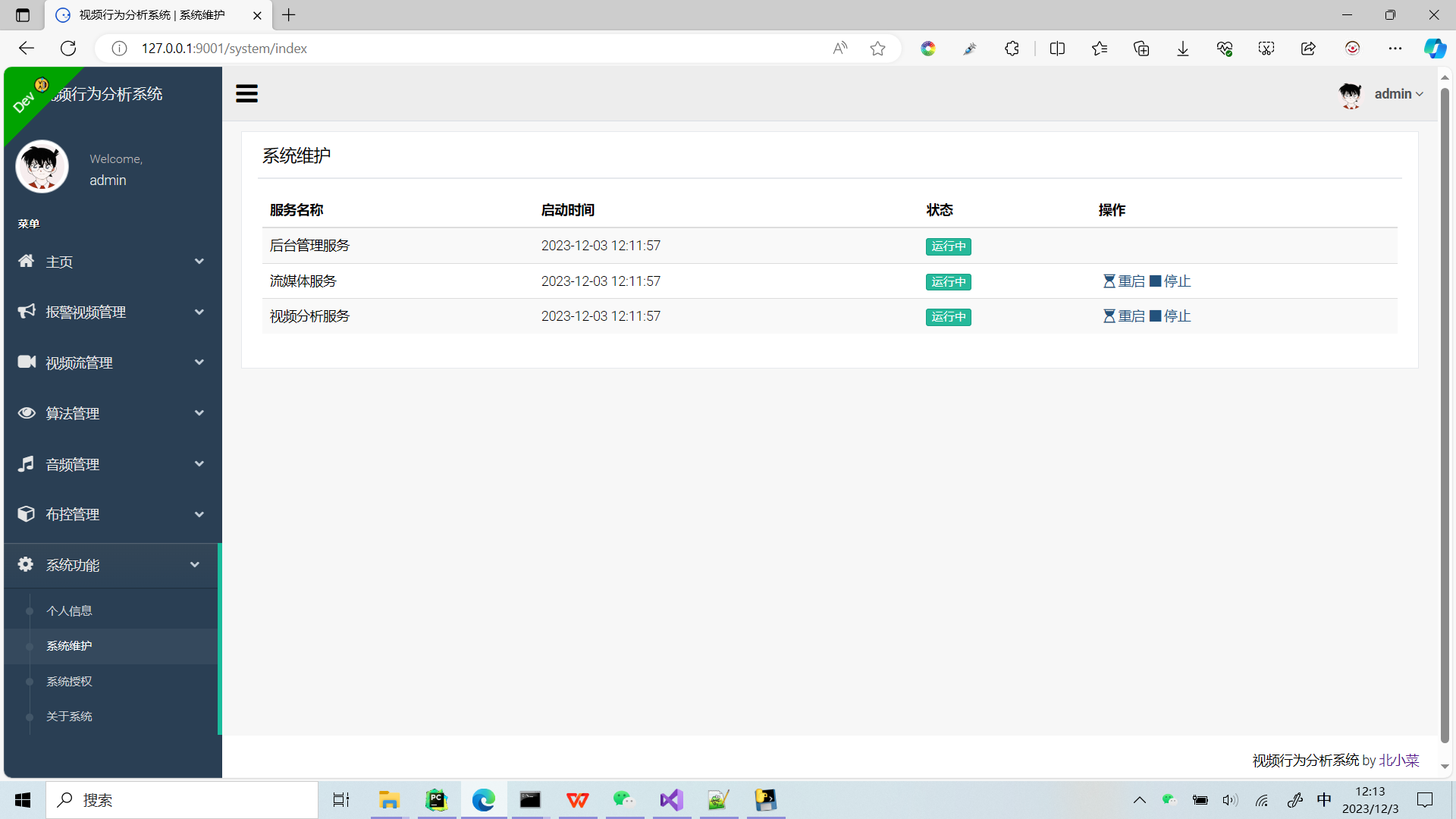 一款视频行为分析系统v4，可轻松开发安全行为检测