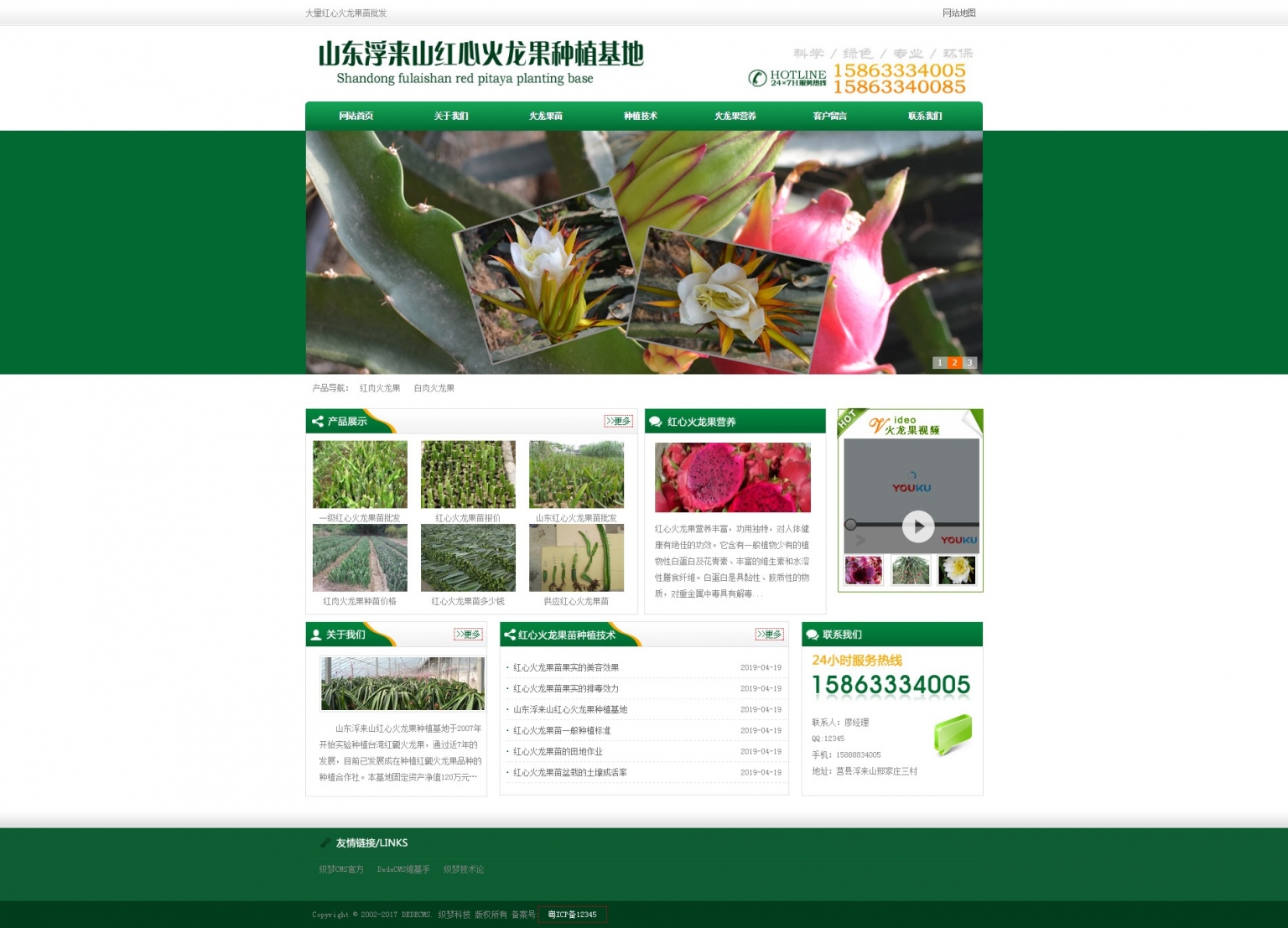 织梦模板-绿色火龙果苗批发 火龙果种植产业基地网站源码