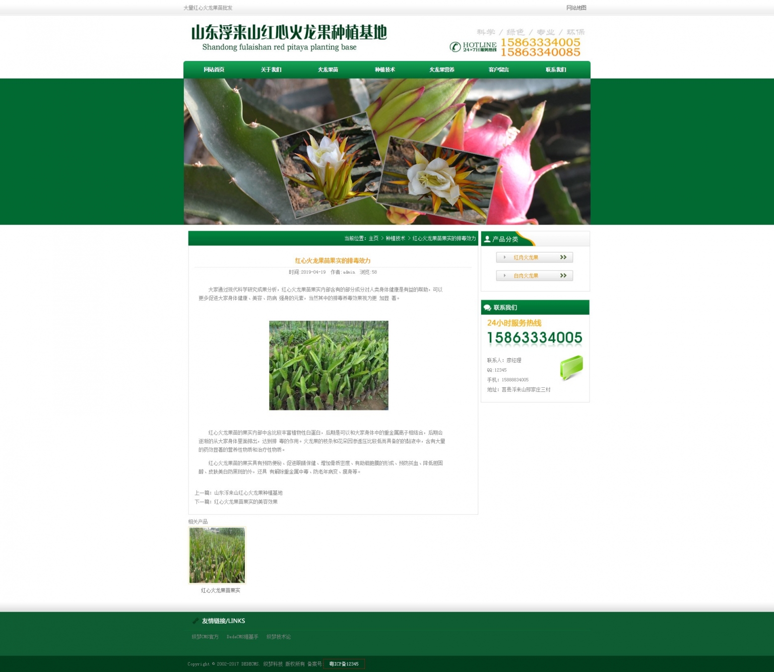 织梦模板-绿色火龙果苗批发 火龙果种植产业基地网站源码