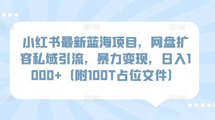 小红书最新蓝海项目，网盘扩容私域引流，暴力变现，日入 1000+（附 100T 占位文件） ...