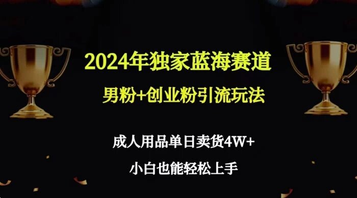 2024 年独家蓝海赛道男粉+创业粉引流玩法，成人用品单日卖货 4W+ 保姆教程