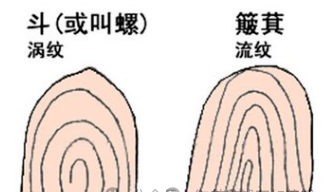 [手相]揭秘手相——"双手无斗，一世富有"