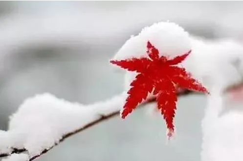 [数理]今年大雪不一般，记得“3吃3不做”！