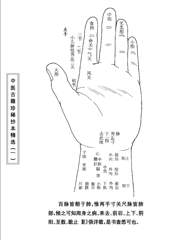 中医古籍珍稀抄本精选--脉理集要PDF文档