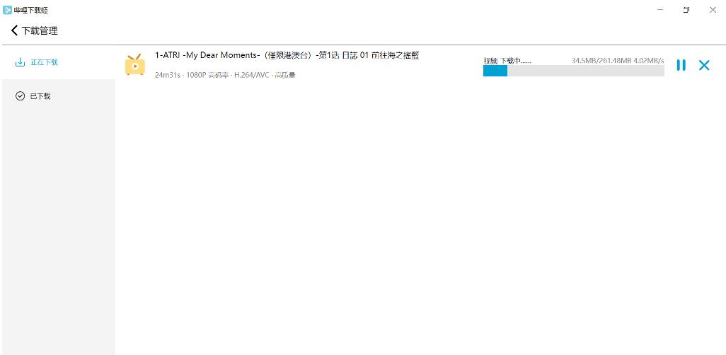 跨平台B站下载工具 DownKyiCore 1.0.11