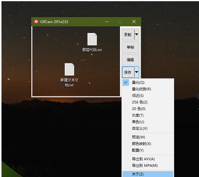 GIF录制工具GifCam(7.7)