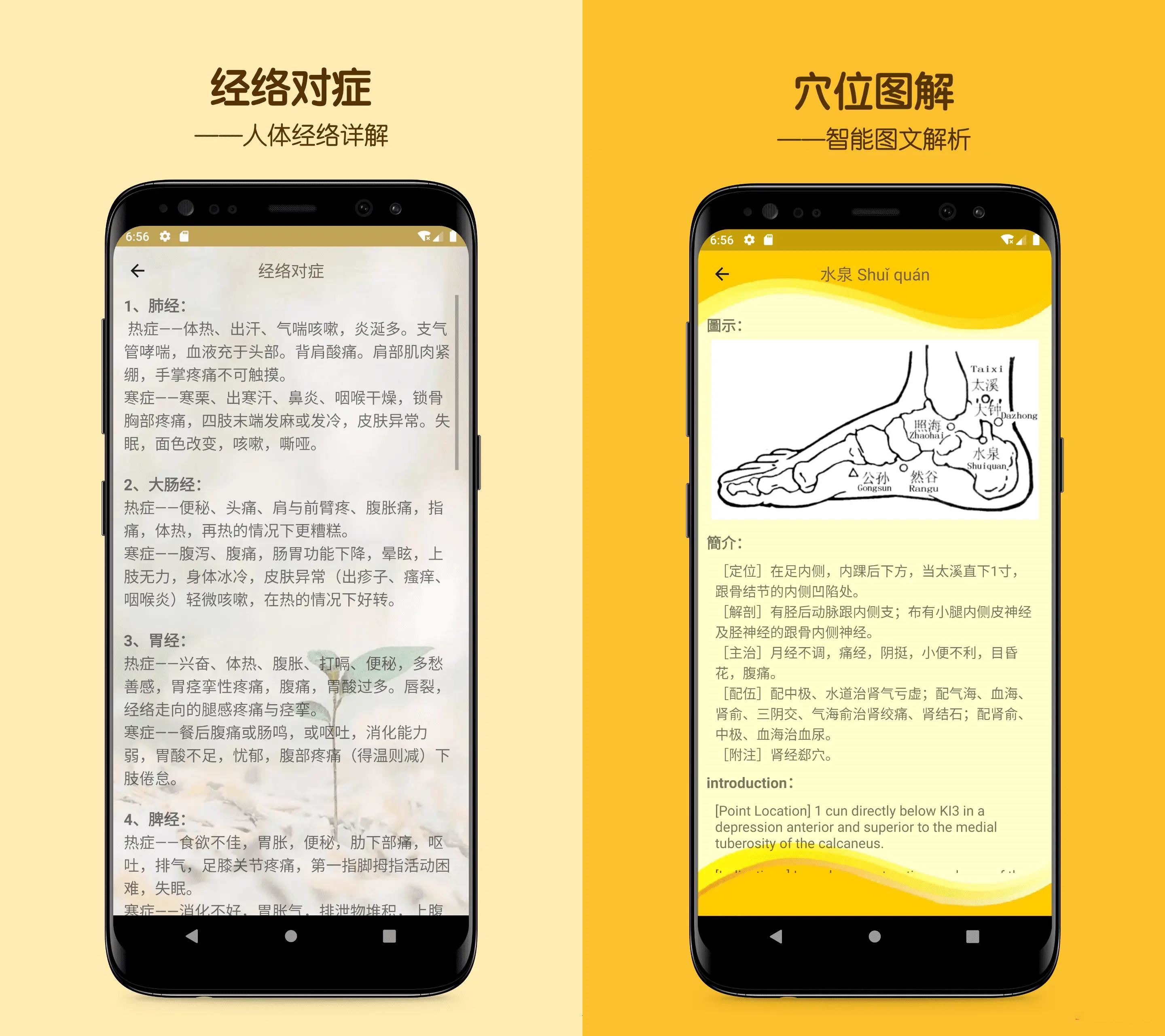 人体穴位图解v3.1.70人体经络去广告版