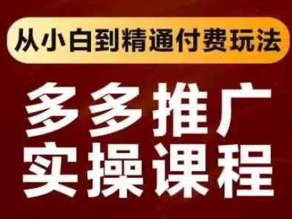 拼多多推广实操课程 从小白到精通付费玩法