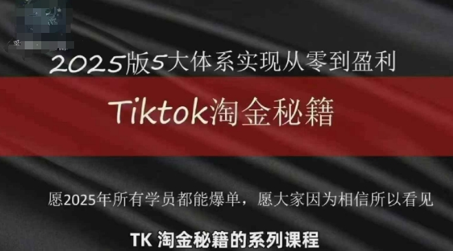 TikTok跨境2025淘金秘籍TikTok从0到盈利变现