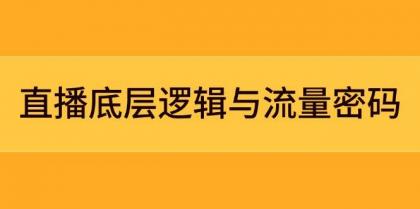 直播底层逻辑与流量密码：定位模型+案例拆解，急速流承接与数据优化全攻略 ...