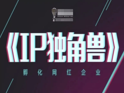 IP独角兽，孵化网红企业，ip教程 