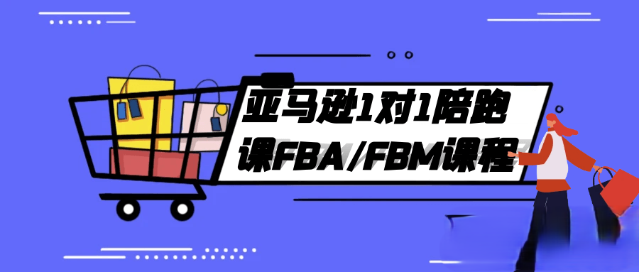  亚马逊1对1陪跑课FBA/FBM课程