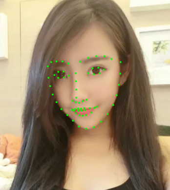 一款入门级的人脸、视频、文字检测以及识别的项目python源码