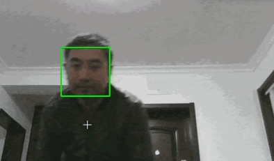 一款入门级的人脸、视频、文字检测以及识别的项目python源码