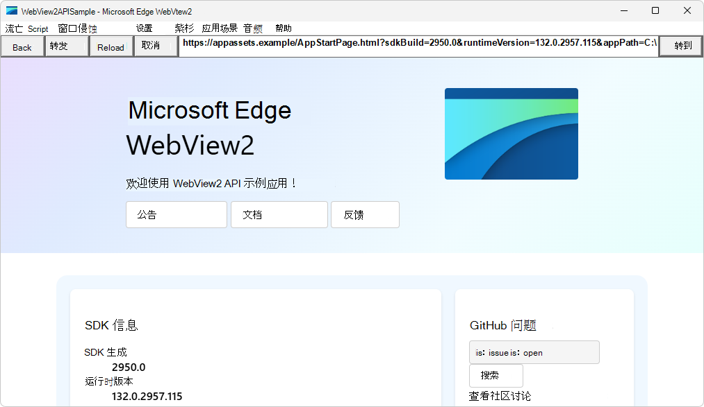 WebView2 示例 WebView2APISample 应用演示