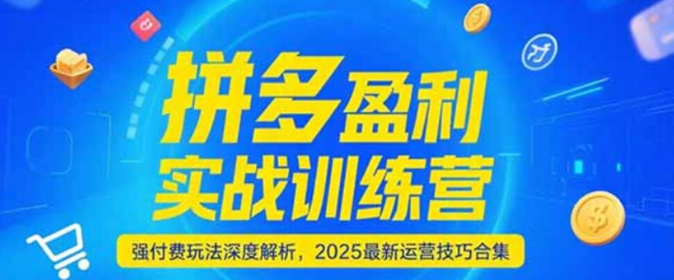 拼夕夕盈利实战训练营，强付费玩法深度解析，2025最新运营技巧合集