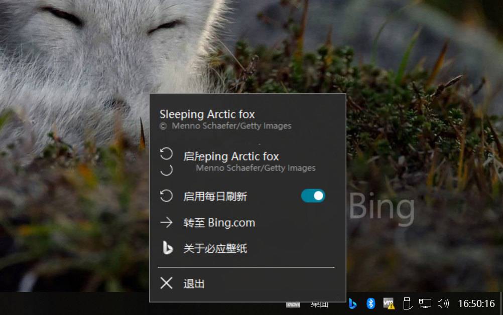 Bing Wallpaper微软壁纸v1.1.415中文多语免费版