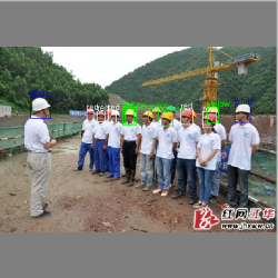 基于java打造的深度学习框架，帮助你快速搭建神经网络，实现模型推理与训练，引擎支持自动求导，多GPU训练 ...