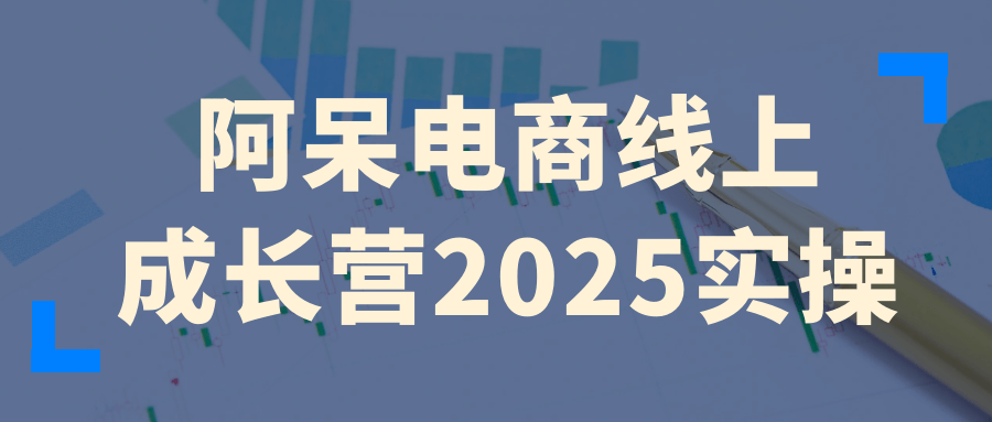 阿呆电商线上成长营2025实操