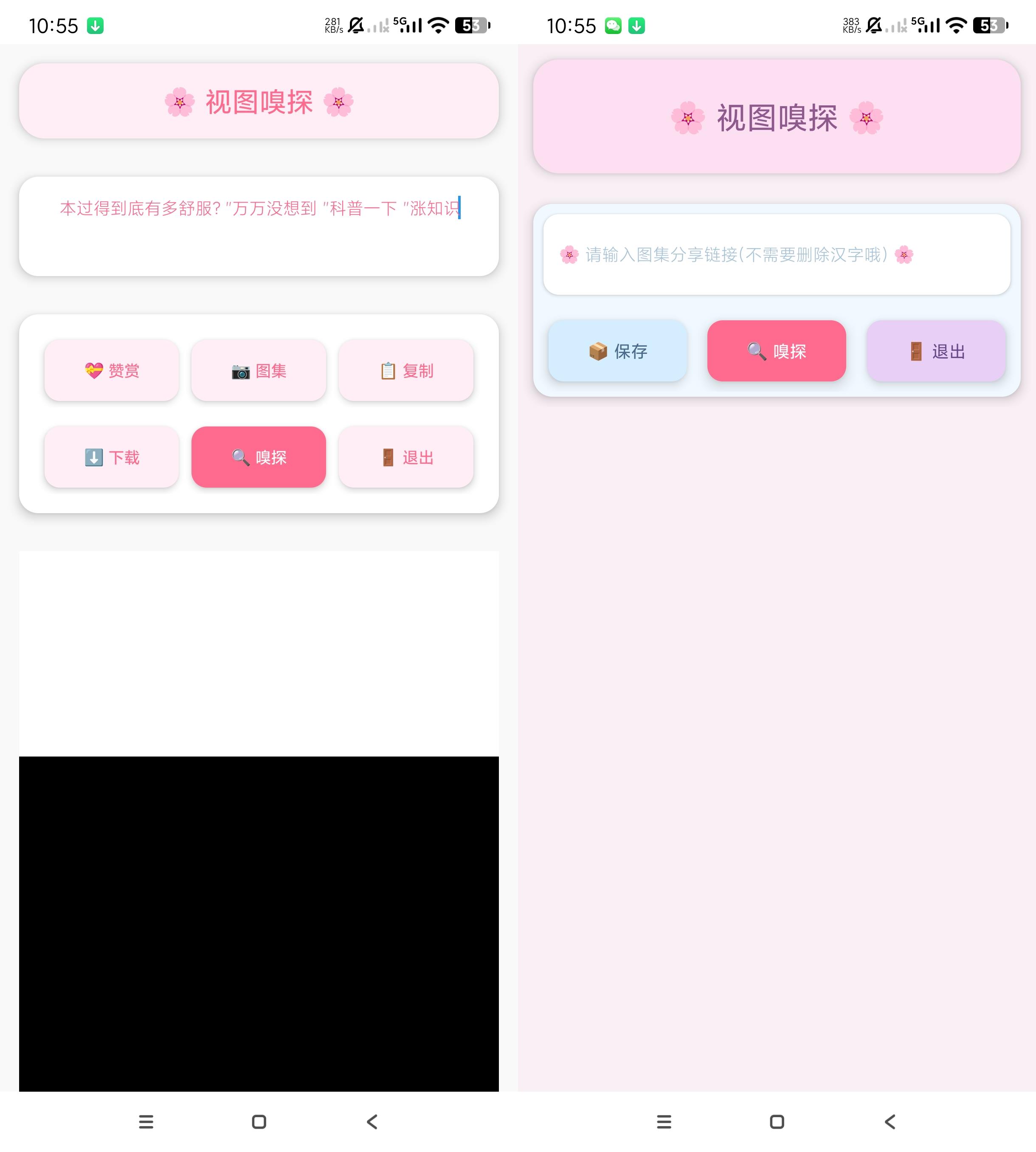 视图嗅探-一键去水印