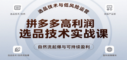 拼多多高利润选品技术实战课，手把手教学自然流高投产起爆，实现低风险可持续盈利 ...