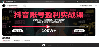 抖音账号盈利实战课，定位对标、标签打造、破播放技巧，讲涨粉变现与场景搭建 ...