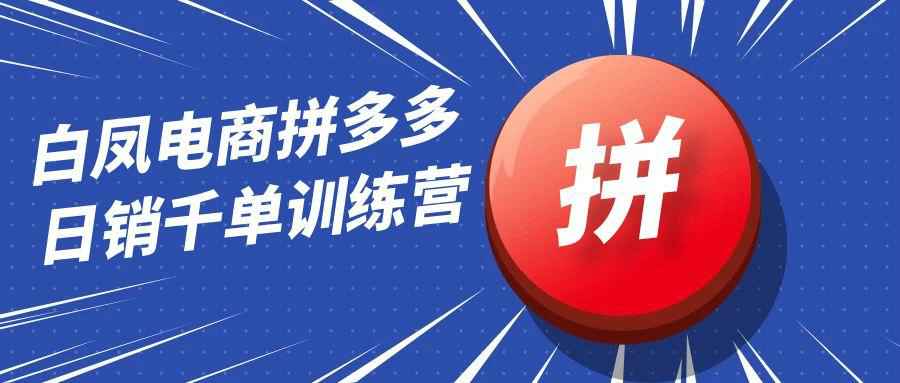 白凤电商拼多多日销千单训练营