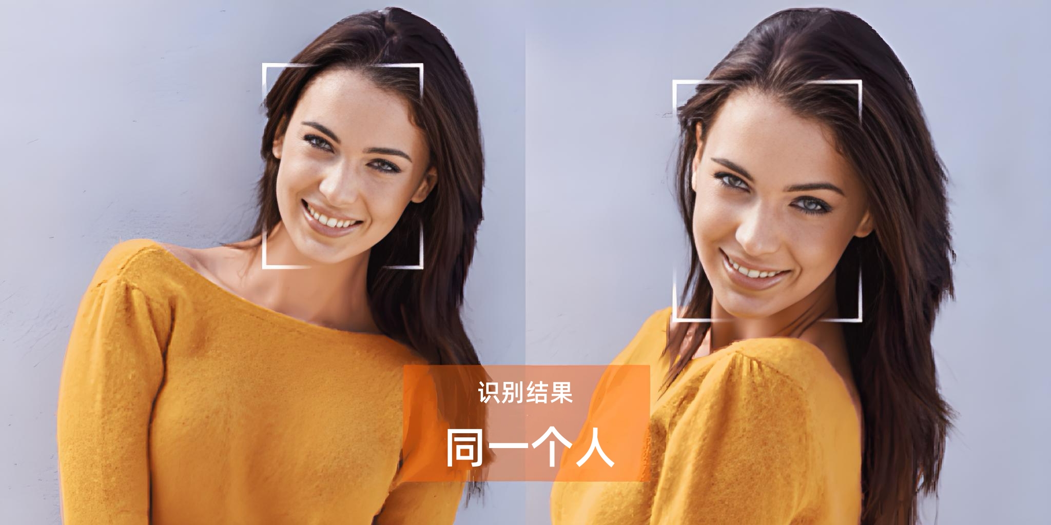 Java轻量级、免费、离线AI工具箱，致力于帮助Java开发  像Hutool一样简单易用的Java AI工具箱者零门槛使用A ...