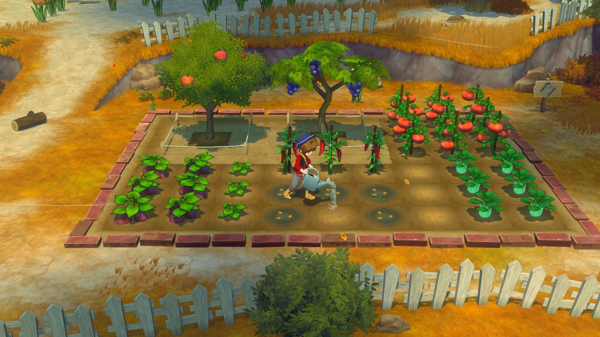 牧场物语 来吧！风之繁华集市/STORY OF SEASONS