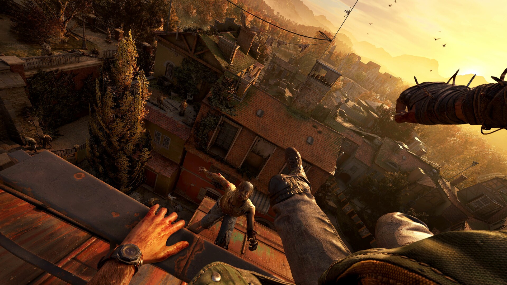消逝的光芒：困兽/Dying Light: The Beast动作冒险