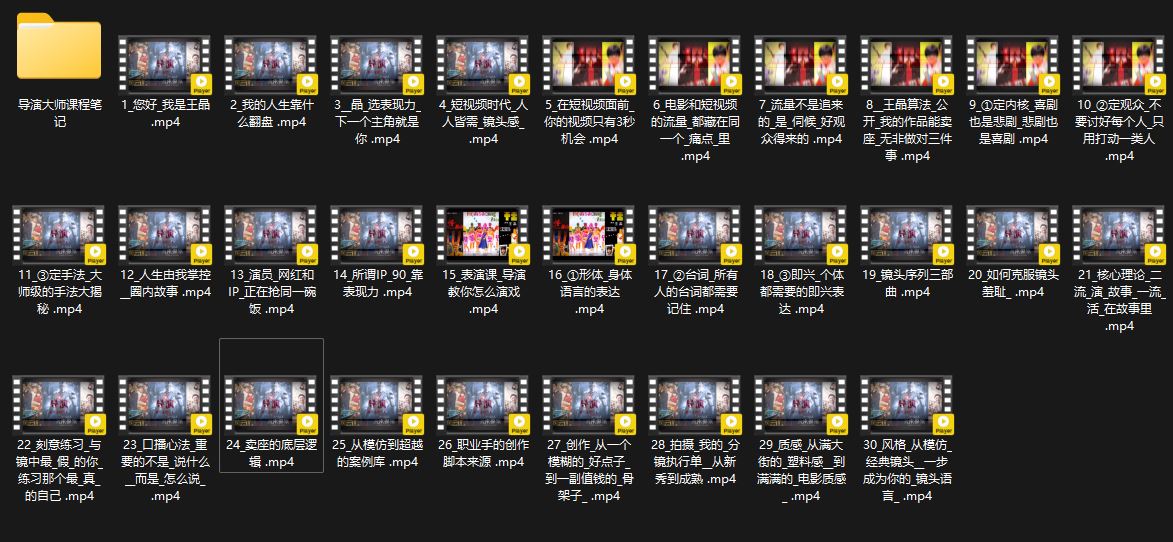 王晶大师课：流量破局人生由我掌控教程