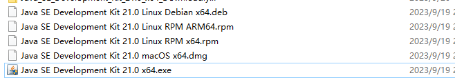 Java SE Development Kit(JDK) 21.0.9 LTS 官方正式版 Win64  jdk21下载