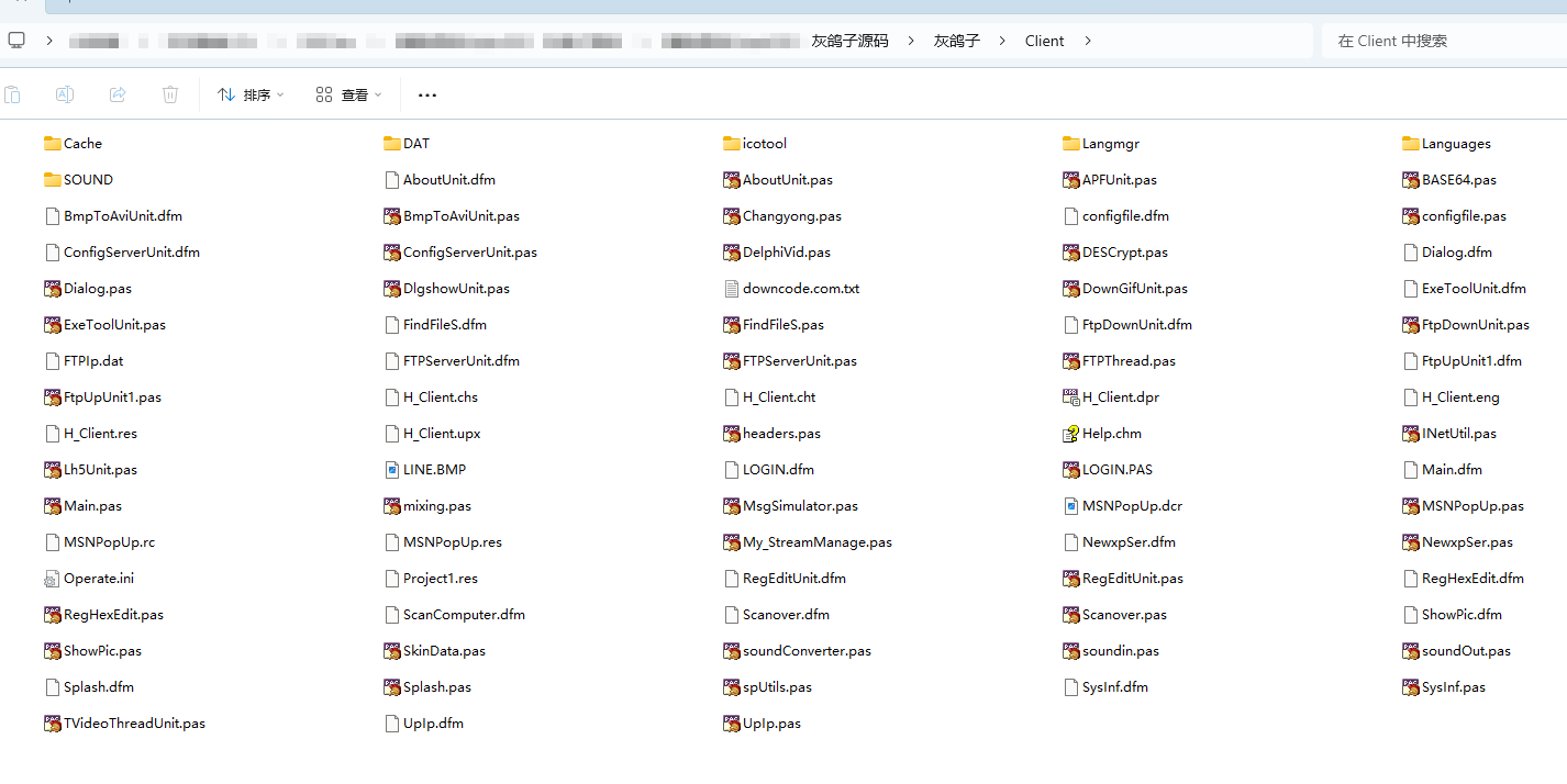 精典源码：灰鸽子源码[delphi源码]