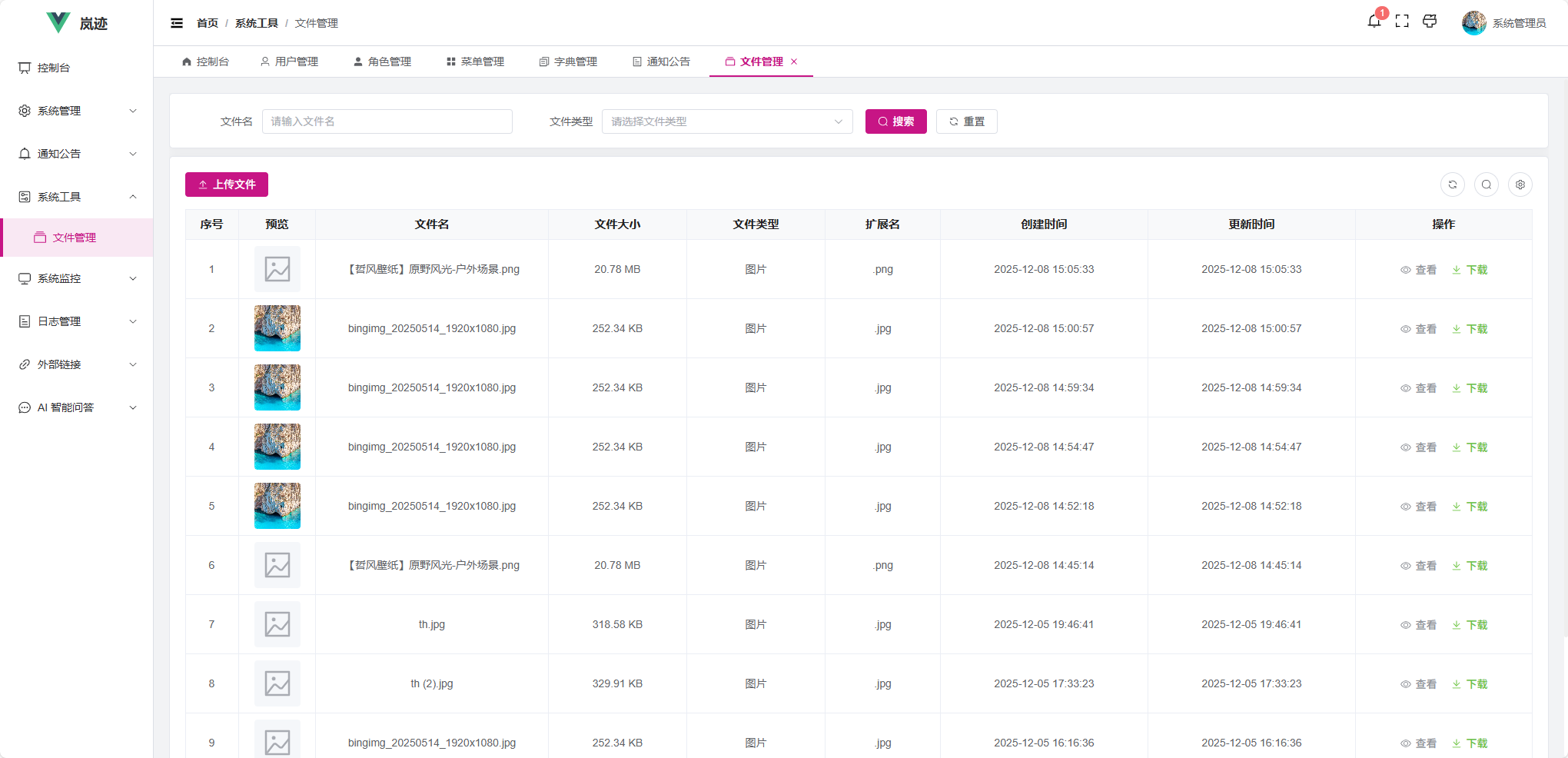 一个现代化的前后端分离企业级管理系统 MIT开源协议可商用