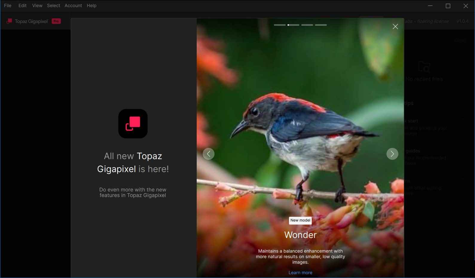 Topaz Gigapixel图像放大软件v1.1.0 破解版