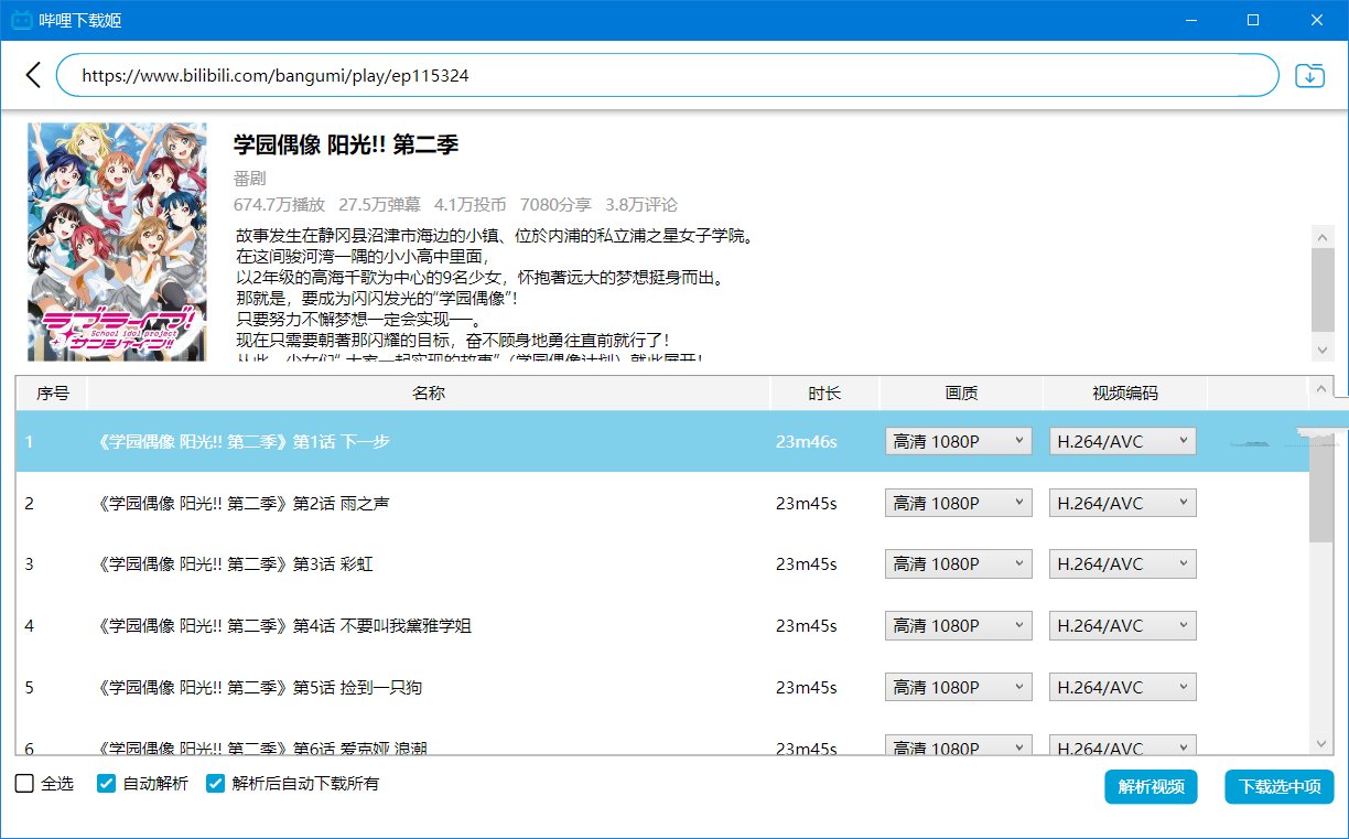 DownKyicore哔哩下载姬跨平台版v1.0.24绿色版