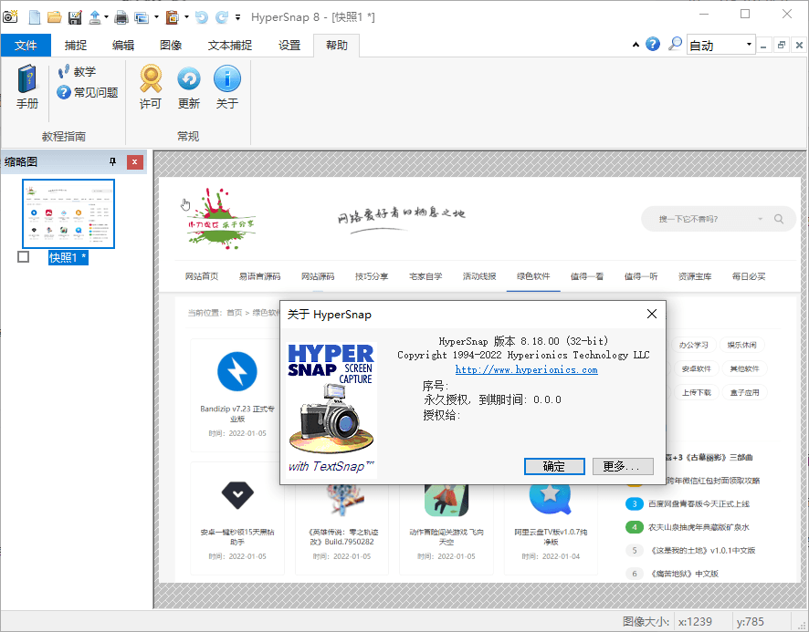 HyperSnap v10.2.1便携汉化版