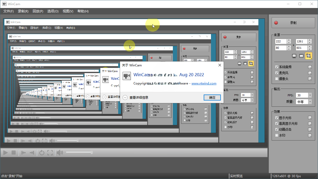 WinCAM屏幕录像v4.1.0.0中文版