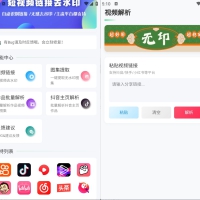 无印v2.5短视频解析去水印工具支持多个平台