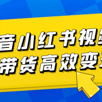 抖音小红书视频号带货高效变现