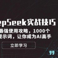 DeepSeek实战技巧：集合最强使用攻略，1000个神级提示词，让你成为AI高手