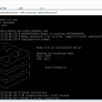 解决：启动Redis报错：`Could not create server TCP listening socket *:...