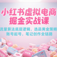 小红书虚拟电商掘金实战课，流量算法底层逻辑，选品黄金策略， 起号，笔记创作全链路