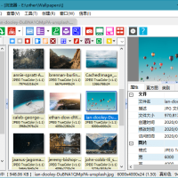 图像浏览器(XnView)2.52.20全功能扩展企业版