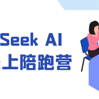 DeepSeek AI电商线上陪跑营
