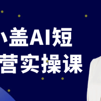 南希小盖AI短视频运营实操课