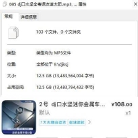 2号dj口水坚迷你金属车载音乐（不喊麦）