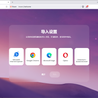 Brave Browser 快速私密网页浏览器 v1.75.175 便携版